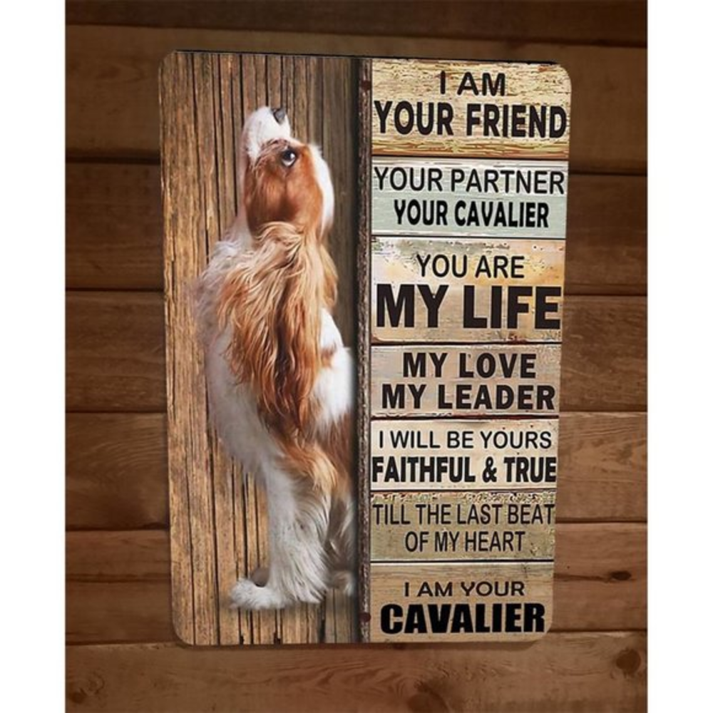 I am your Cavalier Friend 8x12 Metal‎ Wall Animal Dog Sign